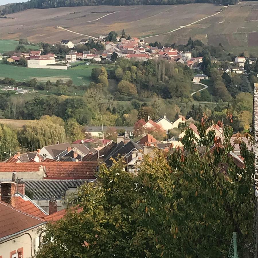 Chambres D'Hotes Karine Smej Châtillon-sur-Marne Zewnętrze zdjęcie